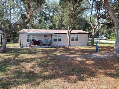 Lake Bryant Home For Sale in Ocklawaha Florida