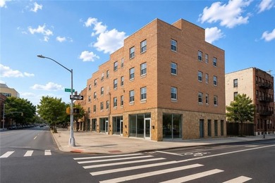 Newly built 3-family house with 1 store. Building size: 20.4 * - photo 3