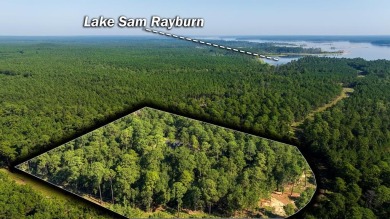 Lake Sam Rayburn  Home For Sale in Broaddus Texas