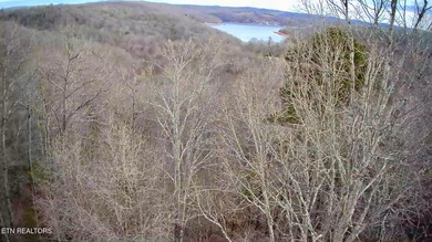 LAKE VIEWS from you lake house. Clearwater Cove is a beautiful - photo 14