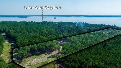 Lake Home For Sale in Broaddus, Texas