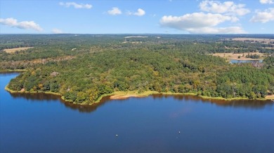 Houston County Lake Acreage For Sale in Grapeland Texas
