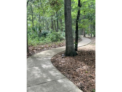 Welcome to Magnolia Bluff, a cozy community nestled along the - photo 42