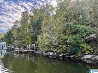 Located on the main channel with 94 feet of year round water! - Lake Lot For Sale in Lineville, Alabama