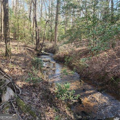 Coosawattee River Lot For Sale in Ellijay Georgia