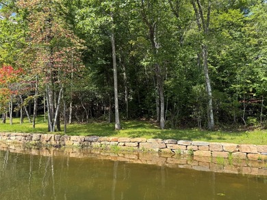 Two adjoining lake front lots on beautiful Lake Toxaway - photo 5