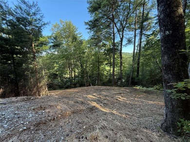 Two adjoining lake front lots on beautiful Lake Toxaway - photo 6