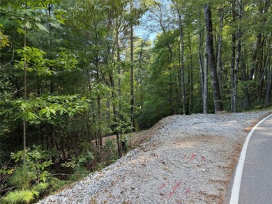 Two adjoining lake front lots on beautiful Lake Toxaway - photo 9