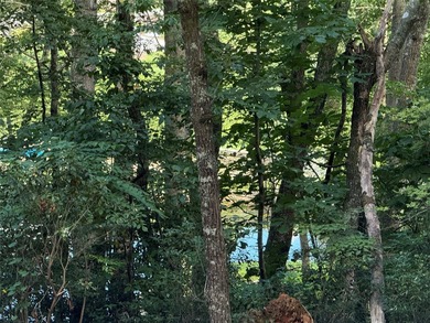 Two adjoining lake front lots on beautiful Lake Toxaway - photo 10