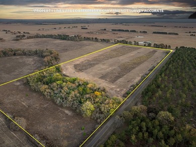 (private lake, pond, creek) Acreage For Sale in Elkhart Texas