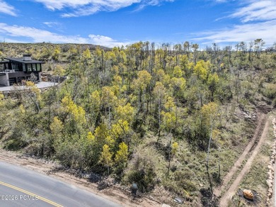 Situated in Promontory's, Aspen Camp neighborhood this lot - photo 9