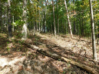Cave Run Lake Lot For Sale in Morehead Kentucky