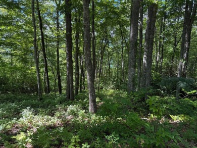 Lake Acreage For Sale in Tuckasegee, North Carolina