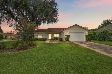Lake Home For Sale in The Villages, Florida