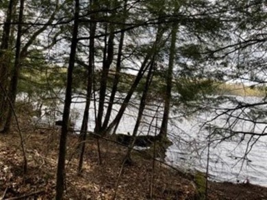 (private lake, pond, creek) Acreage For Sale in Medford Wisconsin