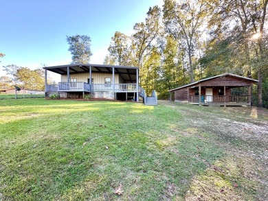 Lake Home For Sale in Abbeville, Alabama