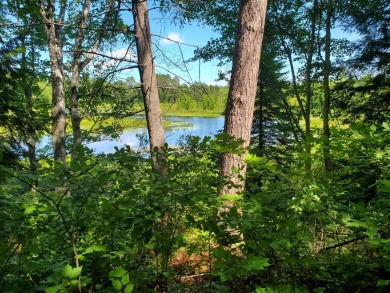North Fork Flambeau River Acreage For Sale in  Wisconsin