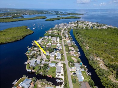 South Branch Manatee River  Home For Sale in Ruskin Florida
