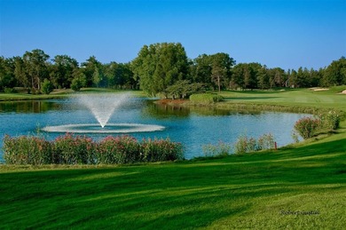 Lake Arrowhead Lake Access Property! Want to be a part of the - photo 12