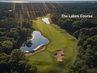 Lake Arrowhead Lake Access Property! Want to be a part of the - photo 17