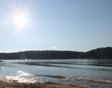 Rare 5-Acre Lake Hartwell Waterfront! No HOA! - photo 1