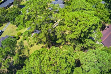 If you are looking for an opportunity to own in Hanahan for - photo 41