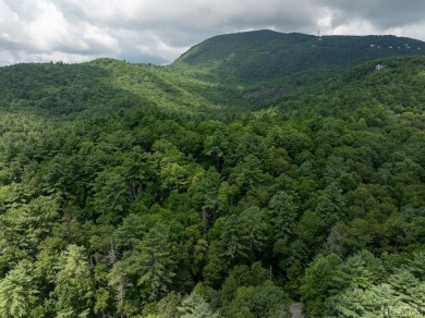 Lake Lot For Sale in Lake Toxaway, North Carolina