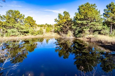 Lake Acreage For Sale in Palestine, Texas