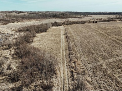  Acreage For Sale in Long Prairie Minnesota