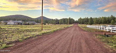 Premium 1-Acre Lot with Bill Williams Mountain Views - Build - photo 3