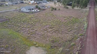 Premium 1-Acre Lot with Bill Williams Mountain Views - Build - photo 4