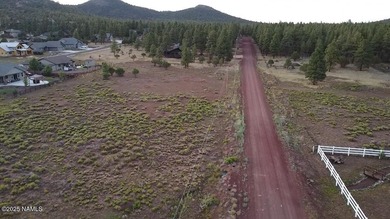 Premium 1-Acre Lot with Bill Williams Mountain Views - Build - photo 5