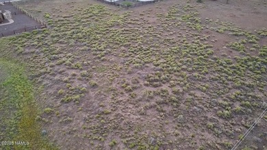 Premium 1-Acre Lot with Bill Williams Mountain Views - Build - photo 6