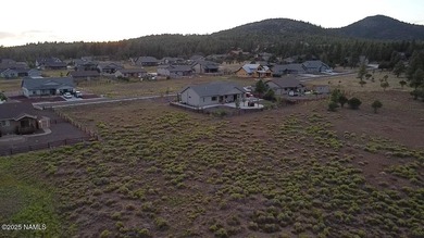 Premium 1-Acre Lot with Bill Williams Mountain Views - Build - photo 7