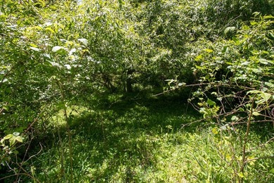 Recreational land near National Forest! Check out this 13.89 - photo 12