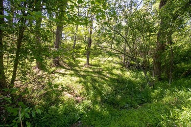 Recreational land near National Forest! Check out this 13.89 - photo 14