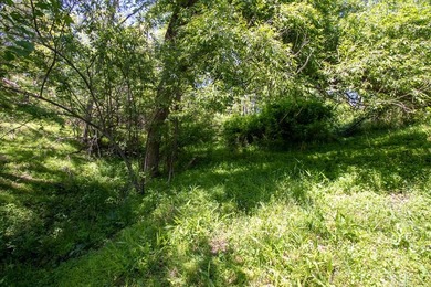 Recreational land near National Forest! Check out this 13.89 - photo 15