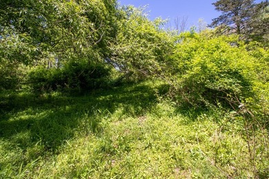 Recreational land near National Forest! Check out this 13.89 - photo 16