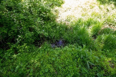 Recreational land near National Forest! Check out this 13.89 - photo 17