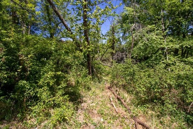 Recreational land near National Forest! Check out this 13.89 - photo 19