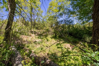 Recreational land near National Forest! Check out this 13.89 - photo 20