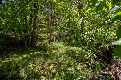 Recreational land near National Forest! Check out this 13.89 - photo 21
