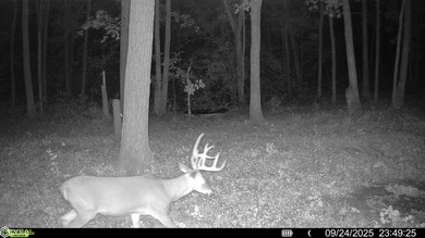 This Appanoose County property is an outstanding opportunity for - photo 22