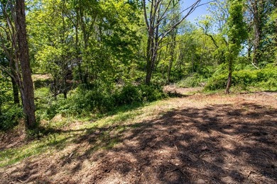 Recreational land near National Forest! Check out this 13.89 - photo 22