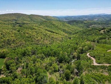 Recreational land near National Forest! Check out this 13.89 - photo 23