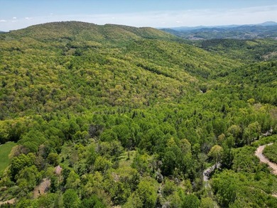 Recreational land near National Forest! Check out this 13.89 - photo 24