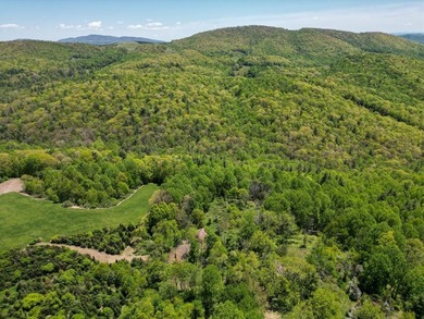 Recreational land near National Forest! Check out this 13.89 - photo 25