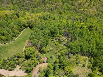 Recreational land near National Forest! Check out this 13.89 - photo 26