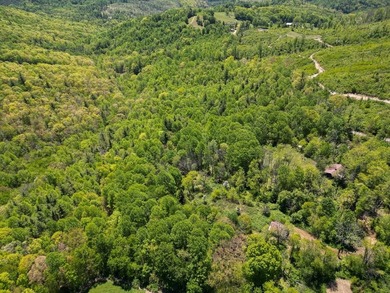 Recreational land near National Forest! Check out this 13.89 - photo 27