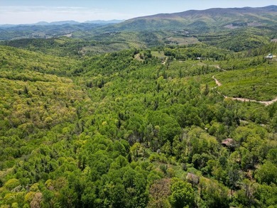 Recreational land near National Forest! Check out this 13.89 - photo 28